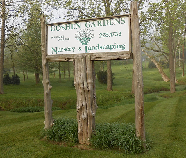 SignSCN0118 SignSCN0118