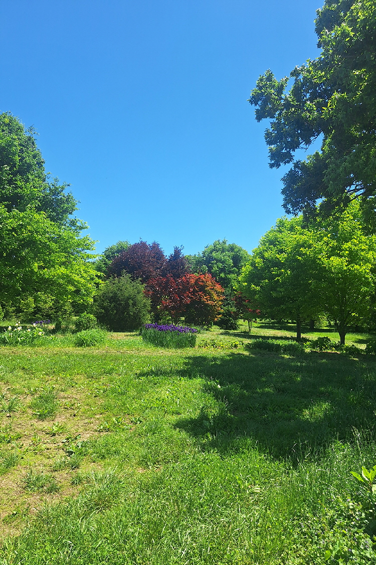 spring 25 a
